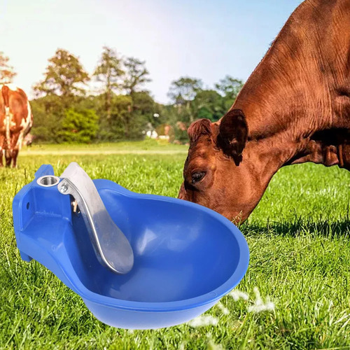 Cuenco Automático De Agua Potable Para Caballos, Bebederos