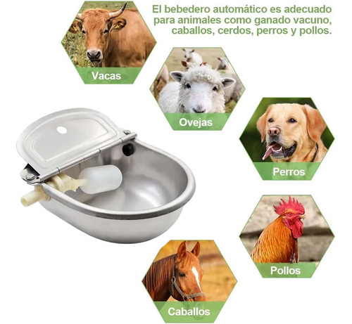 Bebedero Automático Grande Para Caballos, Vacas, Cabras
