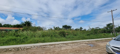 Imagem 2 de 8 de Terreno No Balneário Gaivota Em Itanhaém, Com 384 M² De Área Total