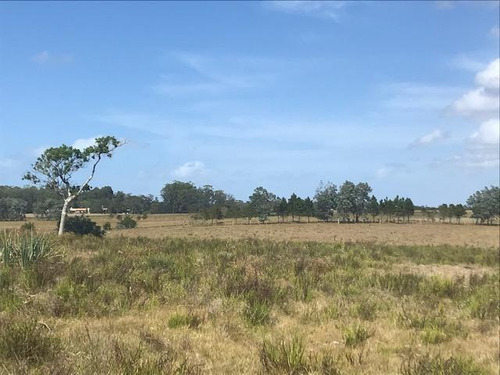 Chacra - Chacras De José Ignacio