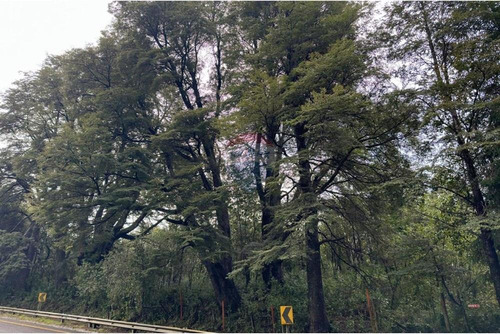 Parcela A Orillas De Río Trancura, Pucón