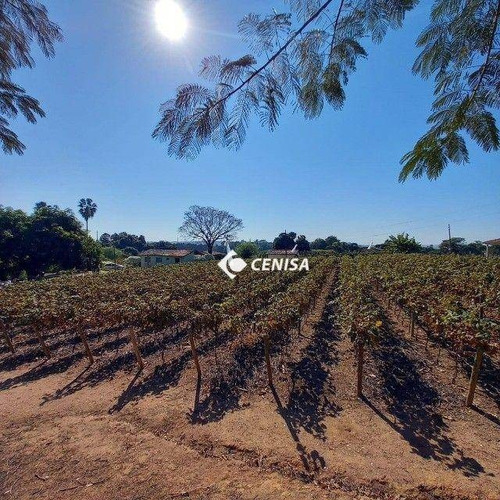 Imagem 9 de 12 de Sítio Com 5 Dormitórios À Venda, 26000 M² - Condomínio Rio Negro- Indaiatuba/sp - Si0013