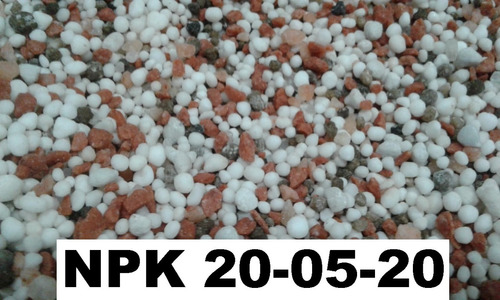 2kg Adubo Fertilizante Npk 20-05-20 Rosa Do Deserto Coqueiro