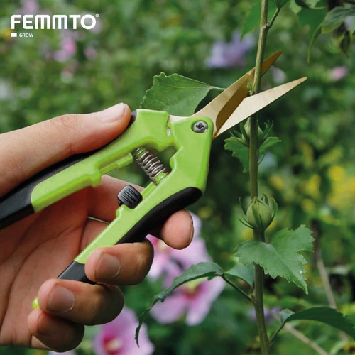 Imagen 6 de 6 de Tijeras De Podar Herramienta Para Jardin Profesional Y Recta