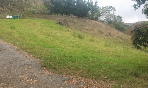 En Venta Finca Ideal Para Ganadería, Cría De Caballos Entre Otras Actividades.