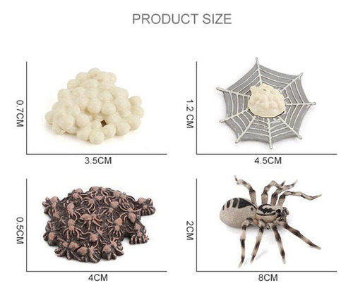 De Vida De Una Araña Incluye Huevo, Larva, Araña Y Araña