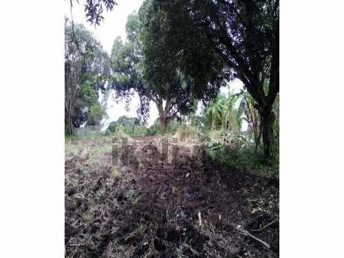 Imagen 7 de 11 de Terreno En Venta Carr. Costera Del Golfo Km. 149.5 Catemaco Veracruz 5000 M². Puede Fraccionarse Dependiendo De Las Necesidades Del Interesado,el Precio Por Metro Cuadrado Es De $500.00 Pesos. Está U