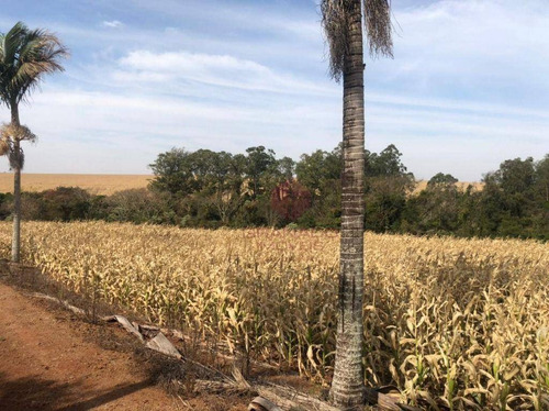 Imagem 4 de 23 de Sítio À Venda, 130000 M² Por R$ 4.500.000,00 - Gleba Pinguim - Maringá/pr - Si0004