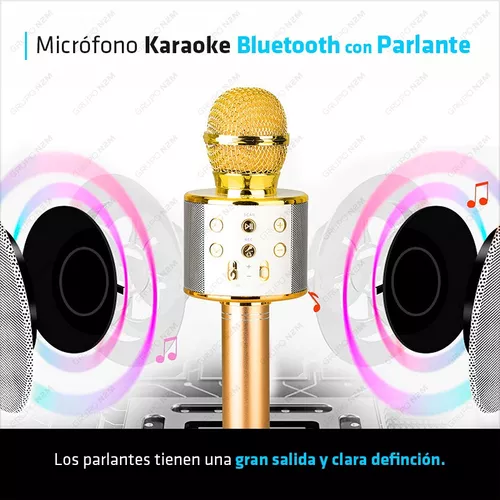 Micrófono Parlante Inalámbrico Bluetooth Karaoke Ws-858 New
