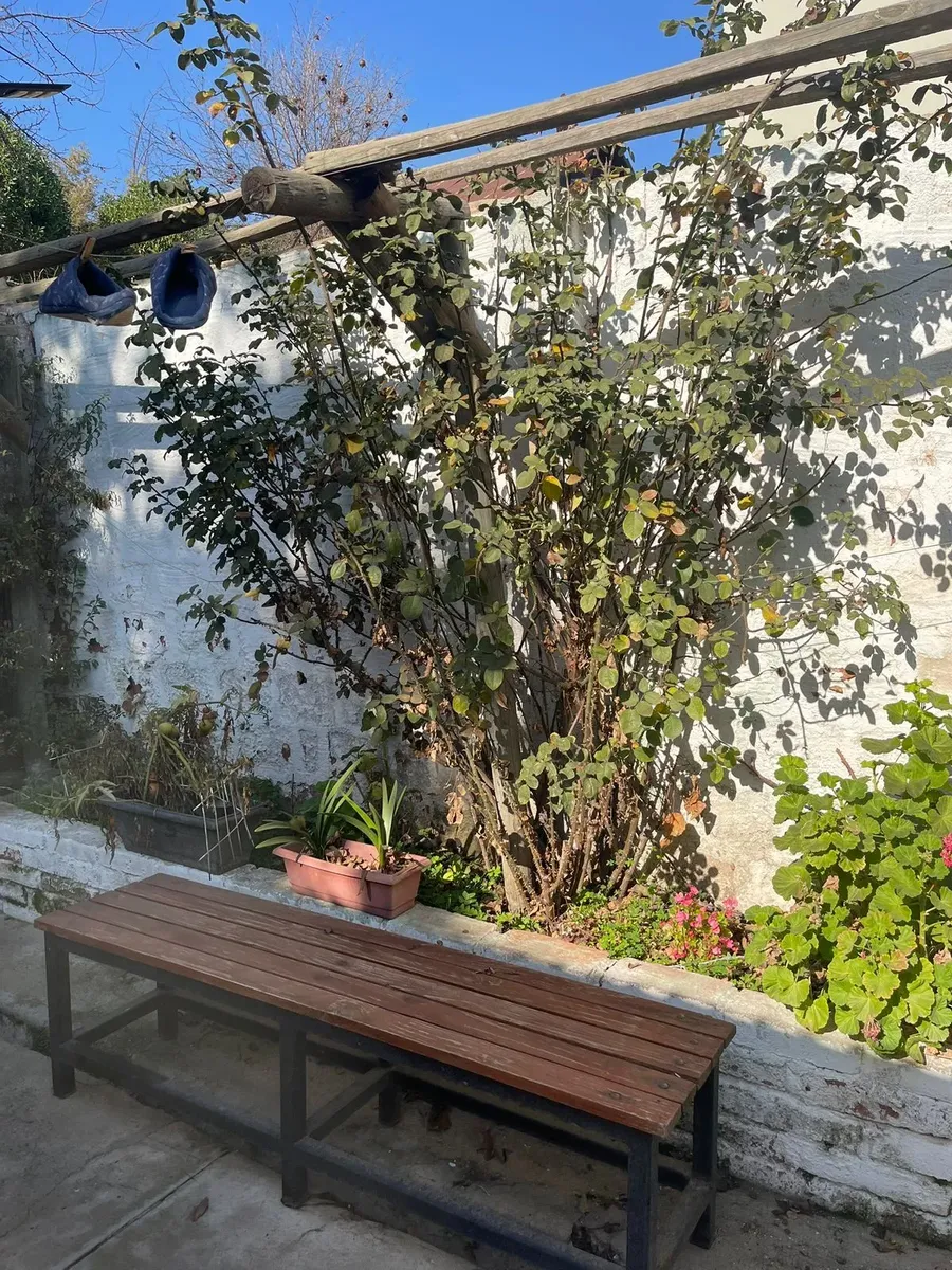 Imagen 5 de 21 de Casa Con Potencial Para Remodelar A Tu Estilo. Amplio Jardín