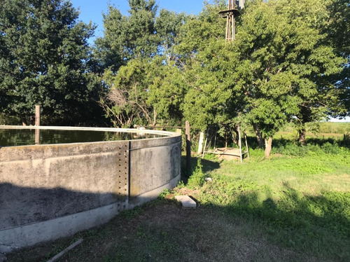 Se Vende Campo Mixto 161 Ha En Los Molinos (córdoba), A Tranquera Cerrada.