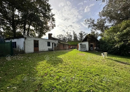 Venta Casa Seis Dormitorios, Golf, Punta Del Este.