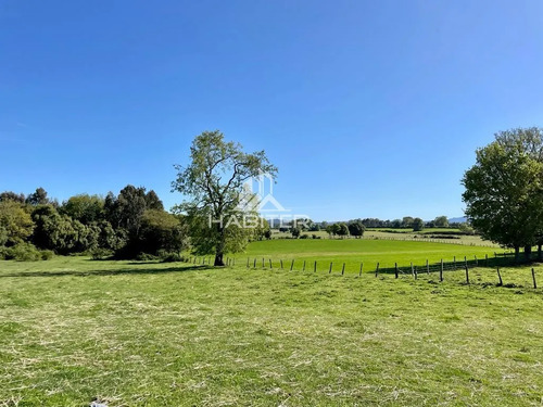 Cod35266 Vende Agrícola Campo De 36 Ha. Indigena En Lautaro