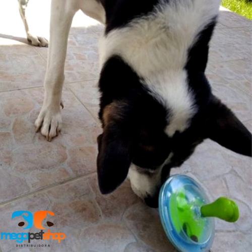 Brinquedo Interativo Para Cachorro Pião 14 Cm Pawise
