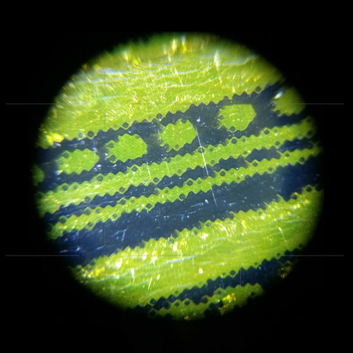 . Caneta De Microscópio Tipo Micropen 50x Mini Lupa Led