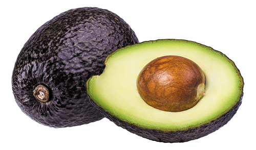 Árbol De Palta Hass Injertado Grande  