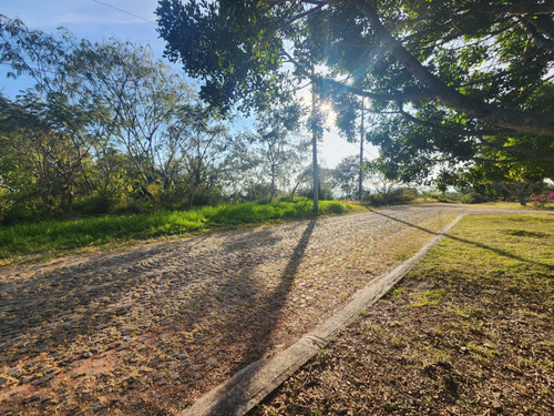 Venta Lote San Diego 152 Mz Xiii Con Todos Los Servicios, Vistas Panorámicas, Proyecto Arquitectónico Incluído En Av Principal Fracc Rancho San Diego Ixtapan De La Sal Edomex
