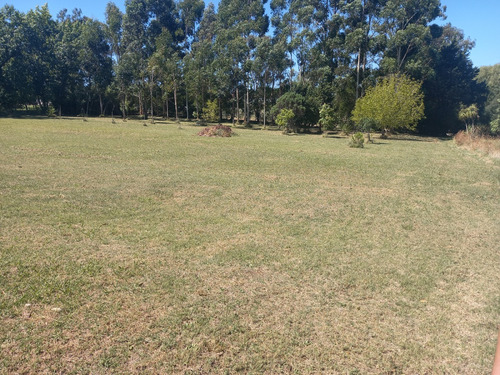 Gran Terreno Alquiler 7000 Mts. Próximo A Ruta Perimetral - Salida A Dos Calles, Zona Manga