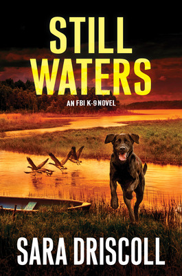 Libro Still Waters: A Riveting Novel Of Suspense - Drisco...