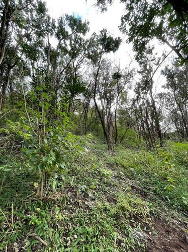 Imagen 6 de 7 de Terreno - Valle Del Sol