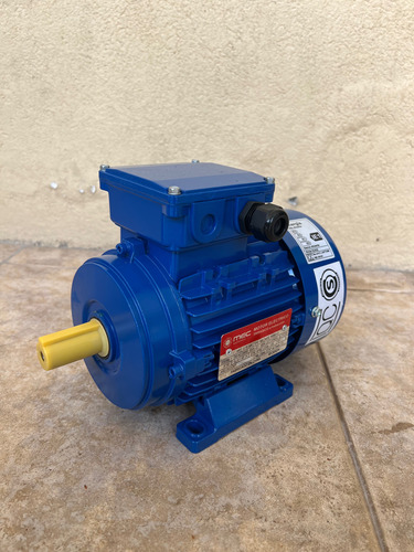 Motor Electrico Trifasico De 1/2hp 900rpm Blindado