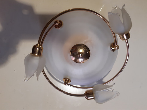 Aplique De Techo 3 Luces Con Tulipas Tulipan Vidrio