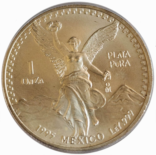 1 Onza De Plata Libertad Gordita 1995 Ley .999, Sin Circular