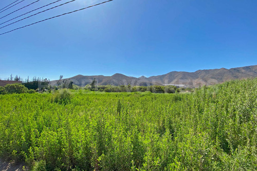Imagen 2 de 12 de Se Vende Terreno En Fundo La Calera Vicuña