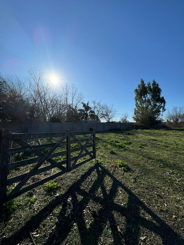 Venta Lote En Camino A Los Talas Berisso