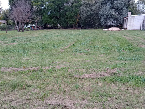 Imagen 5 de 7 de Terreno En Grutly