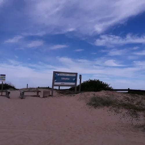 Hermoso Terreno Próximo A Playa En Chihuahua