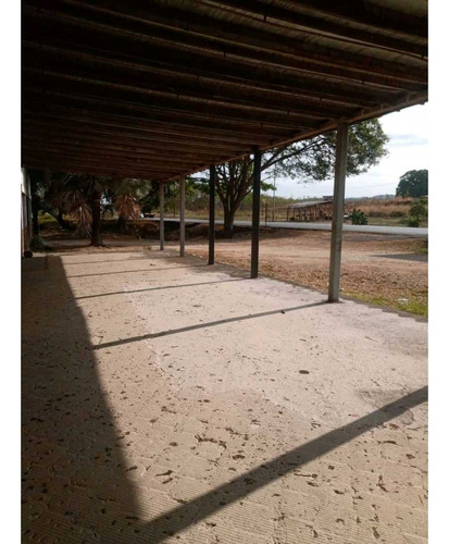 Terreno De 60 Mil M2 A Orilla De La Carretera Tinaquillo Tinaco.