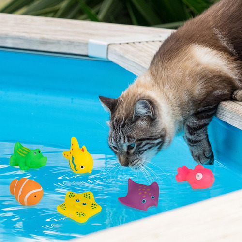 Juguetes Para Piscinas Para Gatos Juguetes Acuáticos Para Pi