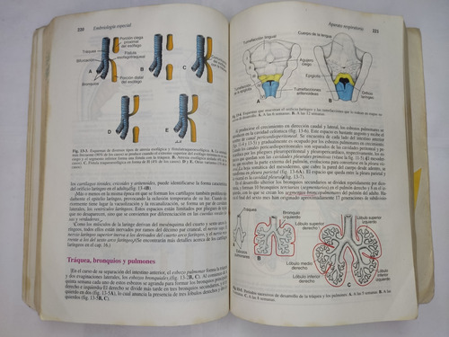 Libro Embriologia Medica T. W. Sadler 198h2 (Usado)