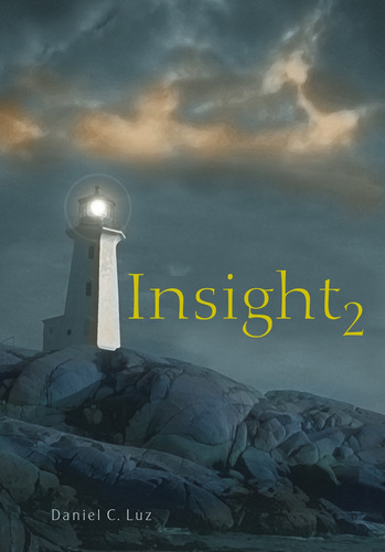 Insight 2, de Luz, Daniel C.. Dvs Editora Ltda, capa mole em português, 2004