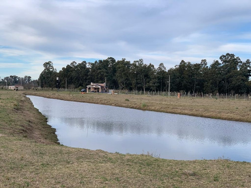 Imagen 9 de 14 de Lotes A La Venta En Barrio Privado En Cañuelas Park