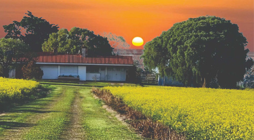 Vendo Chacra En Colonia Uruguay Gran Oportunidad