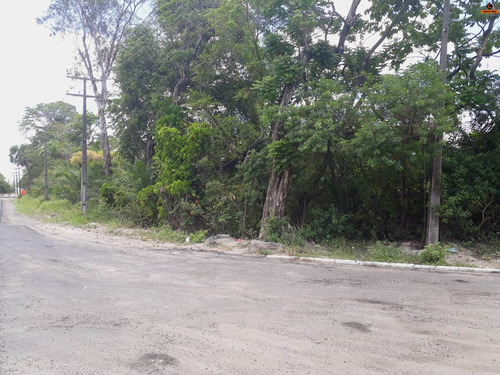 Terreno Em Camaçari - Te00222 - 33892353