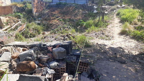 Imagem 7 de 12 de Lote Para Venda Em Ribeirão Das Neves, Bom Sossego - L13_1-2088493