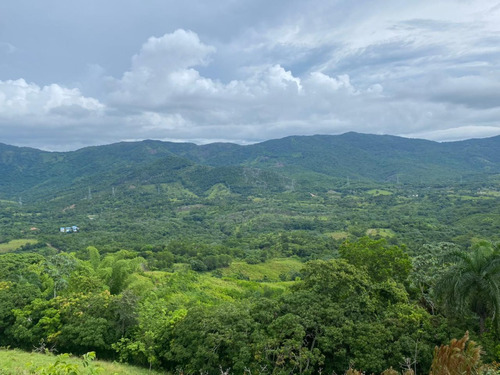 Vendo Hermosa Finca De 1,100 Tareas En Villa Altagracia Ubicada En La Localidad De Blanco