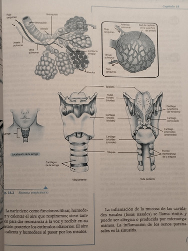 Ciencias De La Salud (Usado)