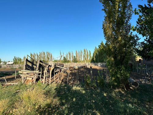 Imagen 11 de 17 de Vendo Campo De 300ha, San Rafael, Mendoza