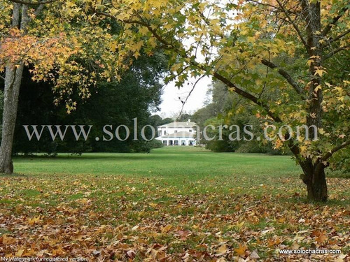 Imagen 3 de 19 de Estancia Benquerencia Farm Club 239 , Monte, Pcia. Bs. As.