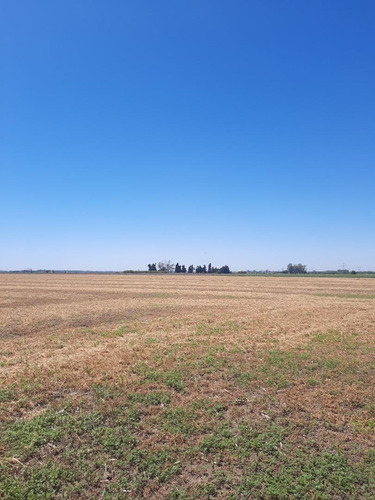 Imagen 3 de 12 de Venta Campo En Soldini