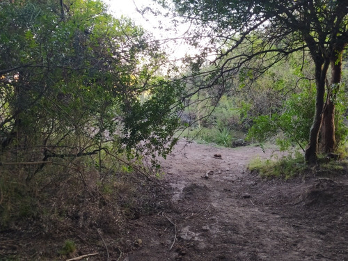 15 Has En Solis Grande, Departamento De Maldonado