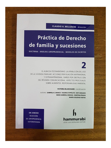 Practica De Derecho De Familia Y Sucesiones. 2 - Belluscio, 