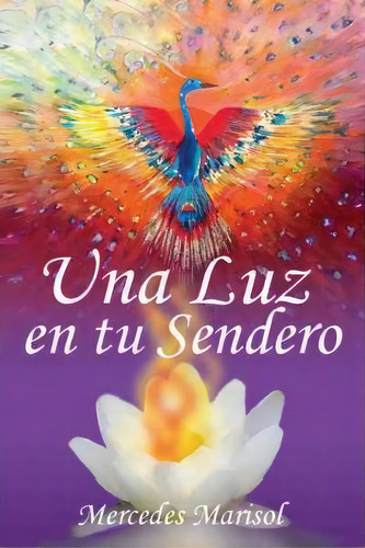 Una Luz En Tu Sendero, De Mercedes Marisol. Editorial Palibrio, Tapa Blanda En Español