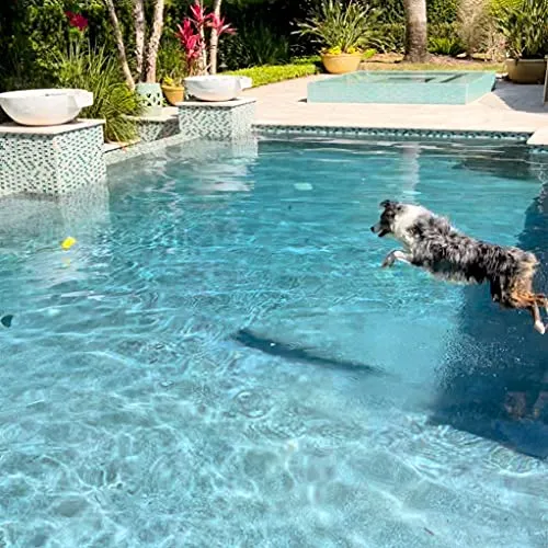 Juguetes Para Perros Skip Nn Fetch | Stonne Skipping Se Encu