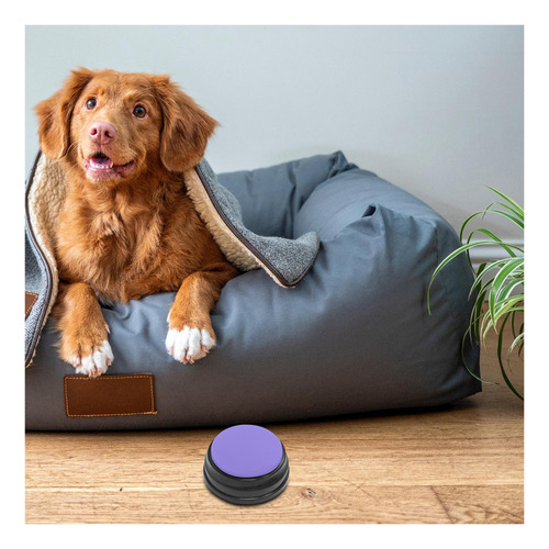 Juguete Interactivo Para Perros Con Botón De Sonido
