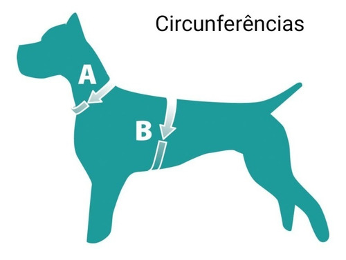 Imagem 2 de 2 de Peitoral E Guia Bolinha Pet